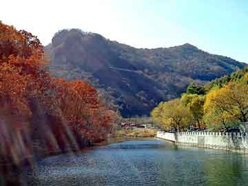 管家婆黑白马报图库，合川seo优化